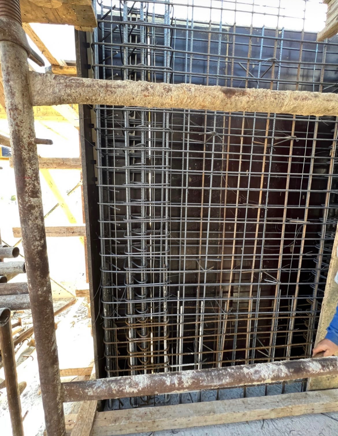Image 6